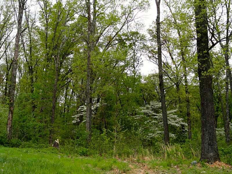 Property Photo:  1484 Le Chesnay Drive  AR 72719 