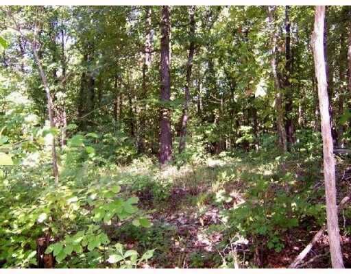 Property Photo:  Tract 17 Hillview Acres  MO 65730 