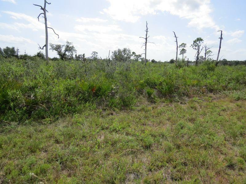 Property Photo:  Hwy 630 E  FL 33843 