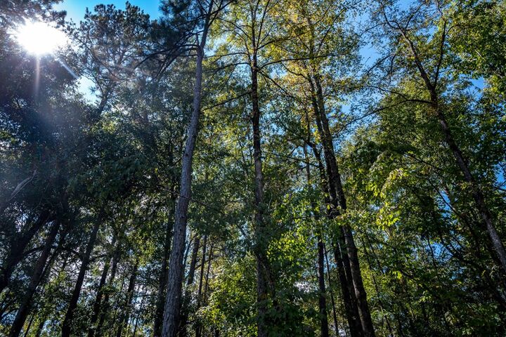 Property Photo:  8785 Creekrise Drive  GA 31904