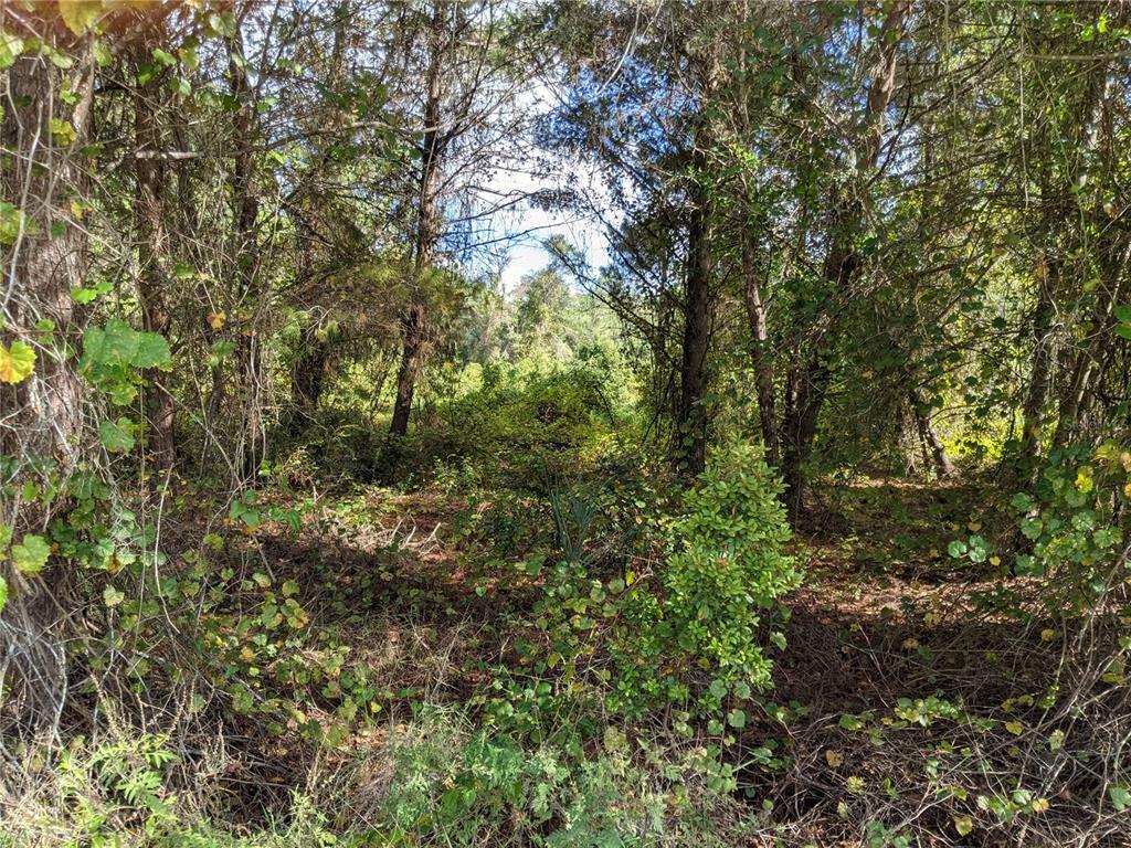 Property Photo:  Lake Street  FL 32738 