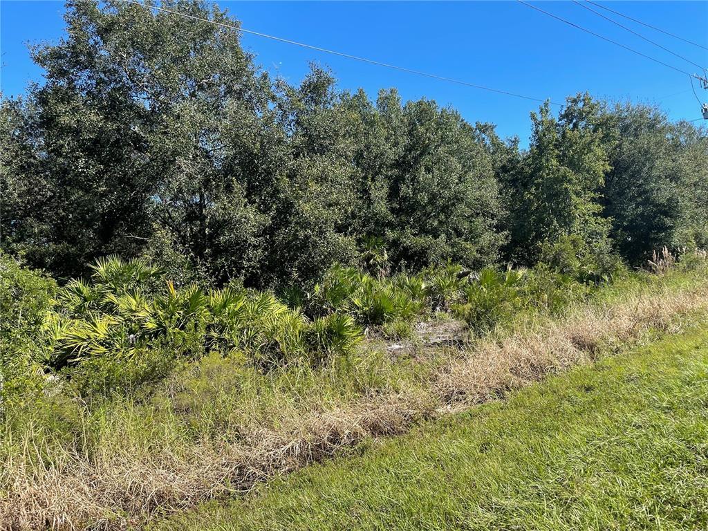 Property Photo: 3994 SE County Road 760A FL 34266