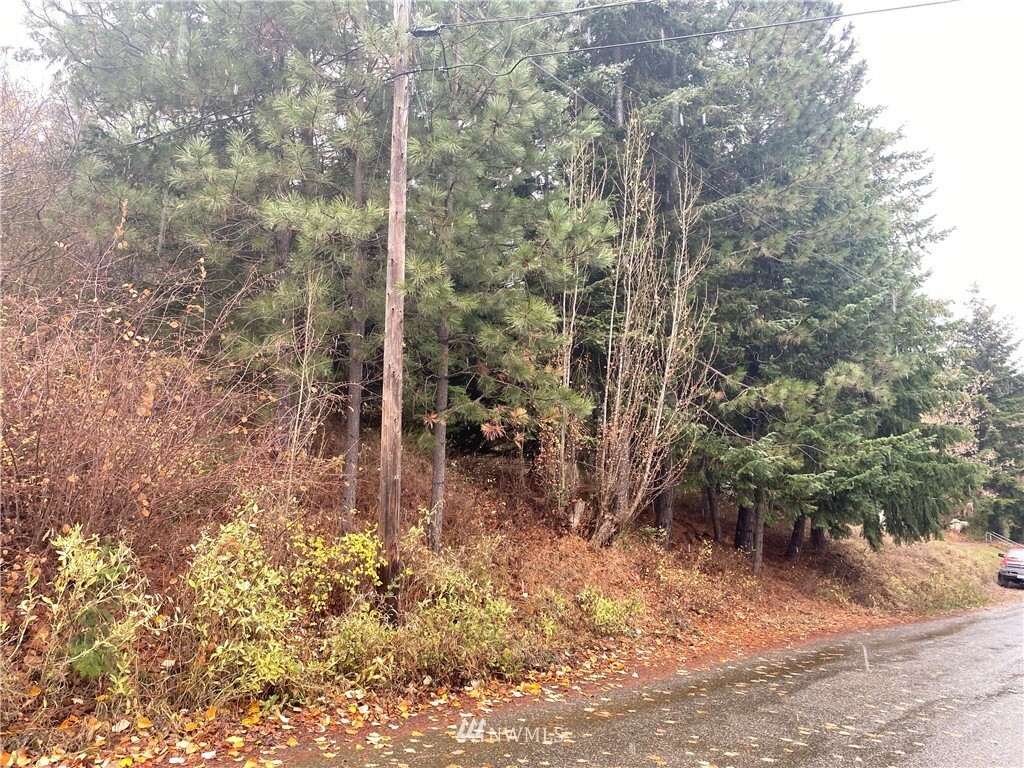 Property Photo:  0 Xxx S 3rd Street  WA 98941 