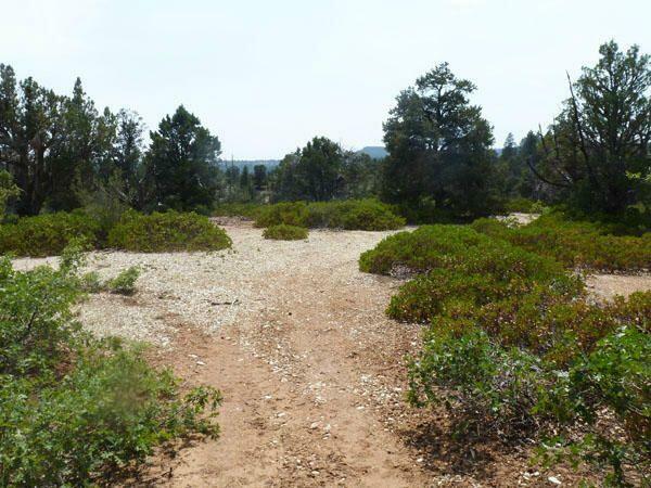 Property Photo:  Lot 2 Zion Panorama Phase 4  UT 84779 