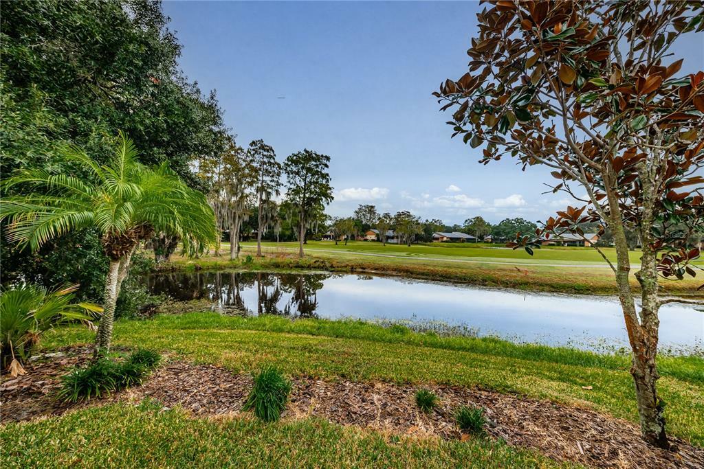 Property Photo:  220 Woodridge Circle  FL 34677 