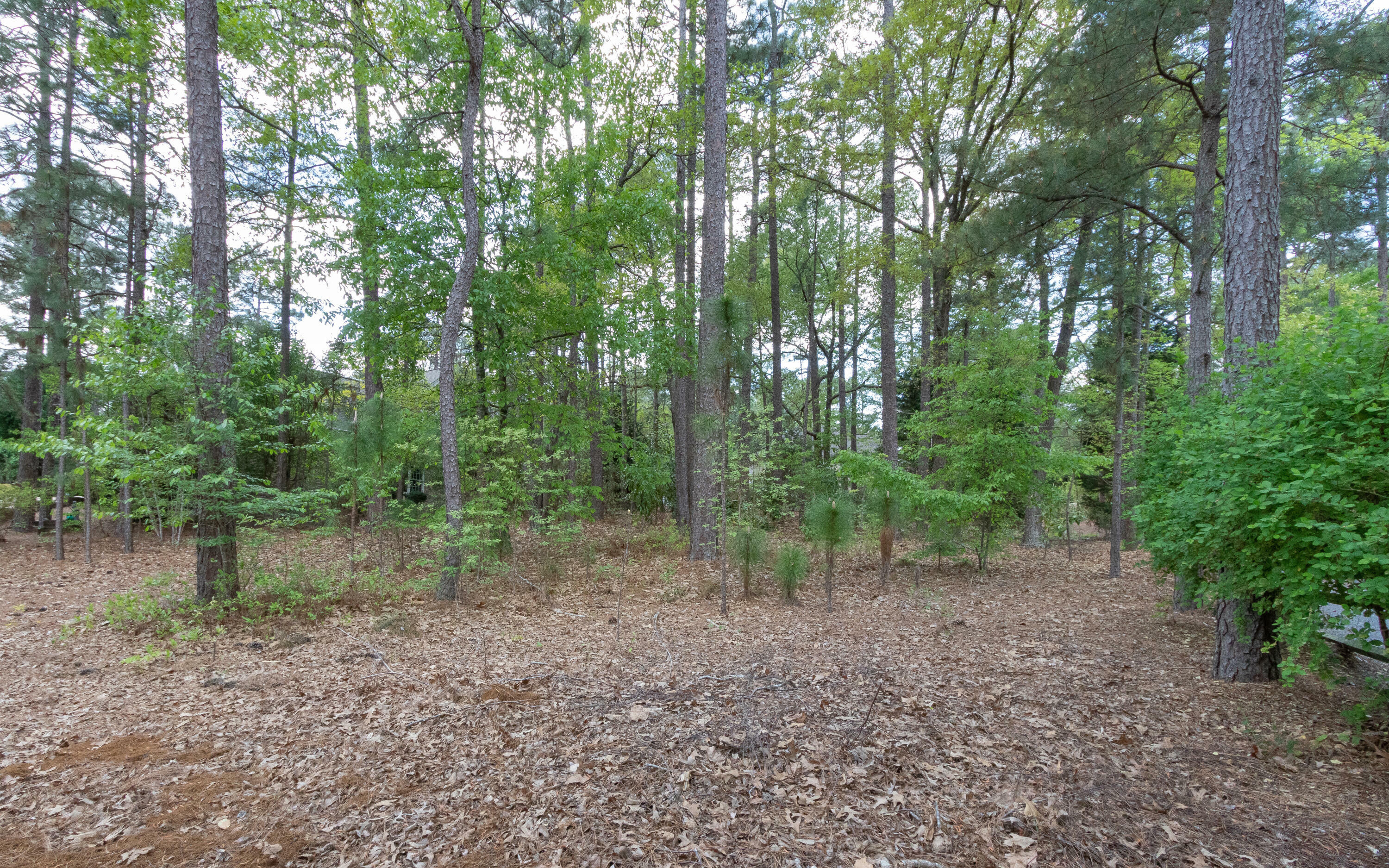 Property Photo:  655 SE Lake Forest Drive  NC 28374 