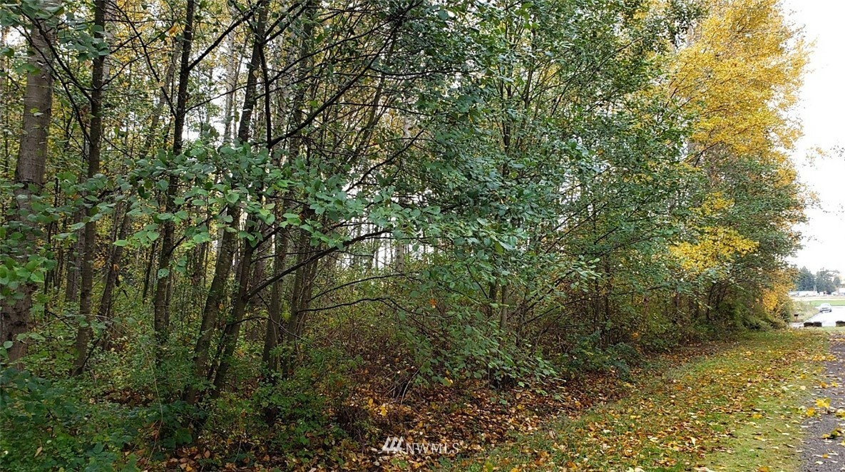 Property Photo: 0 14th St. WA 98230