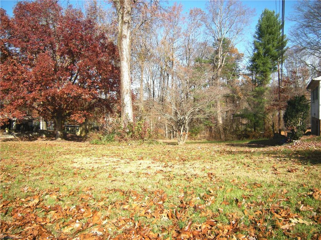 Property Photo:  115 Old Wood Lane  NC 27284 