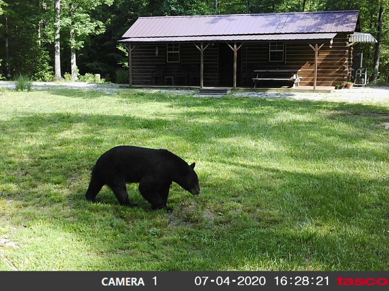 Property Photo: 1732 Peters Branch Road KY 42501
