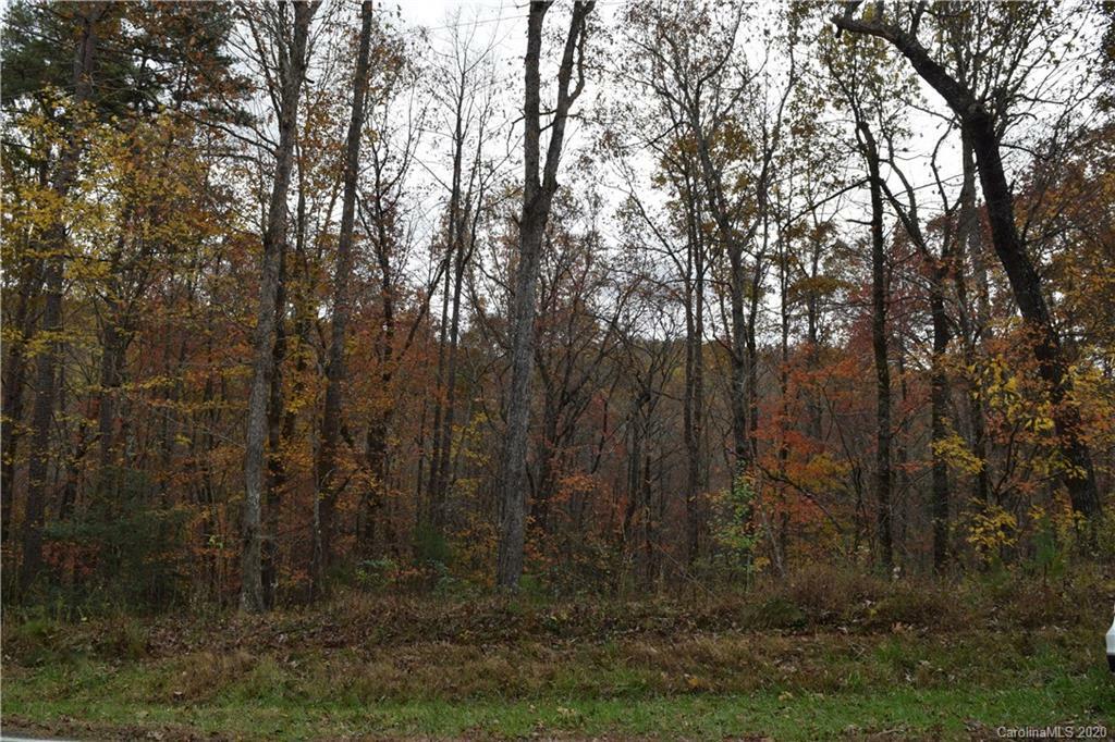 Property Photo:  V/L Henry McCall Road  NC 28752 