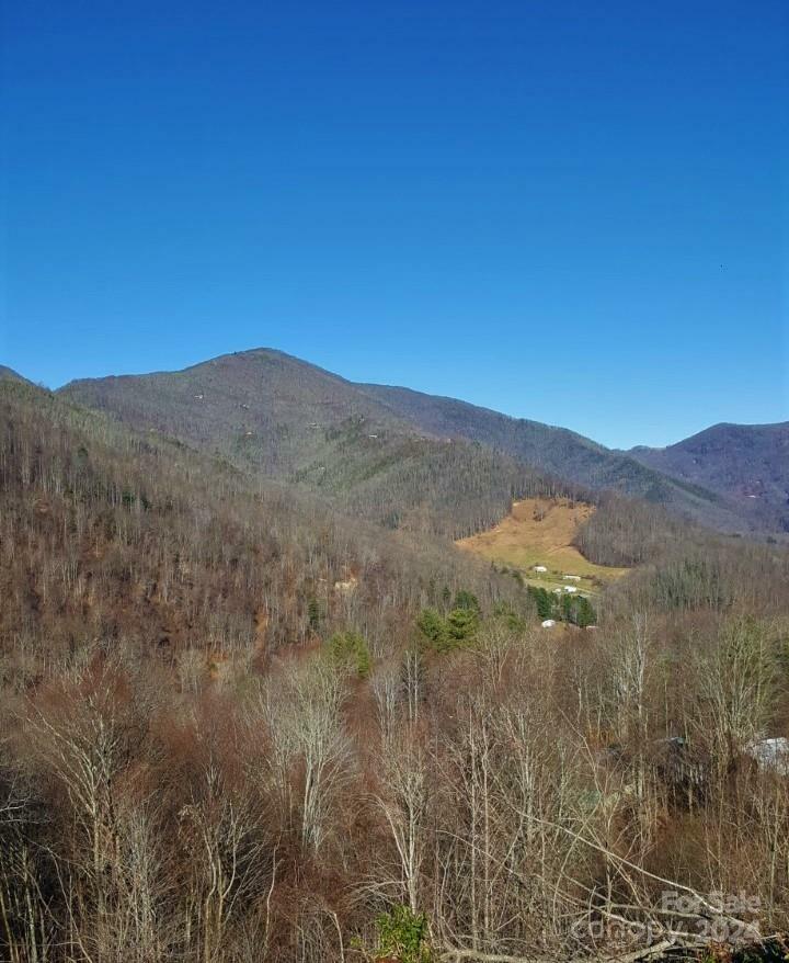 Property Photo:  0 Soco Road  NC 28751 