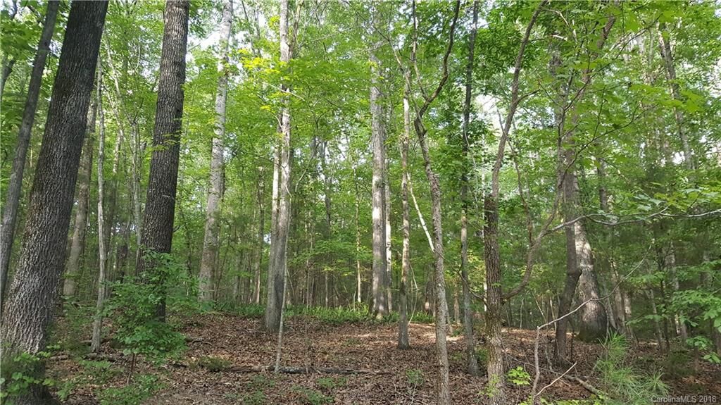 Property Photo: 0000 Brook Road SC 29720