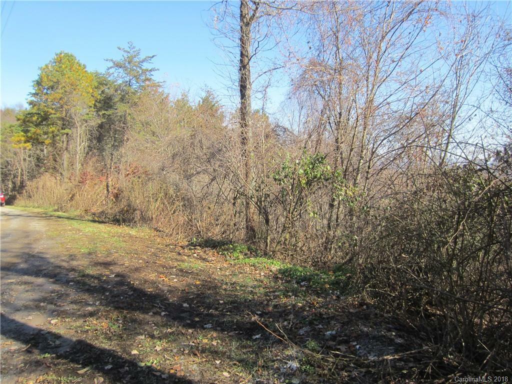 259 Bearwallow Trail 8  Leicester NC 28748 photo