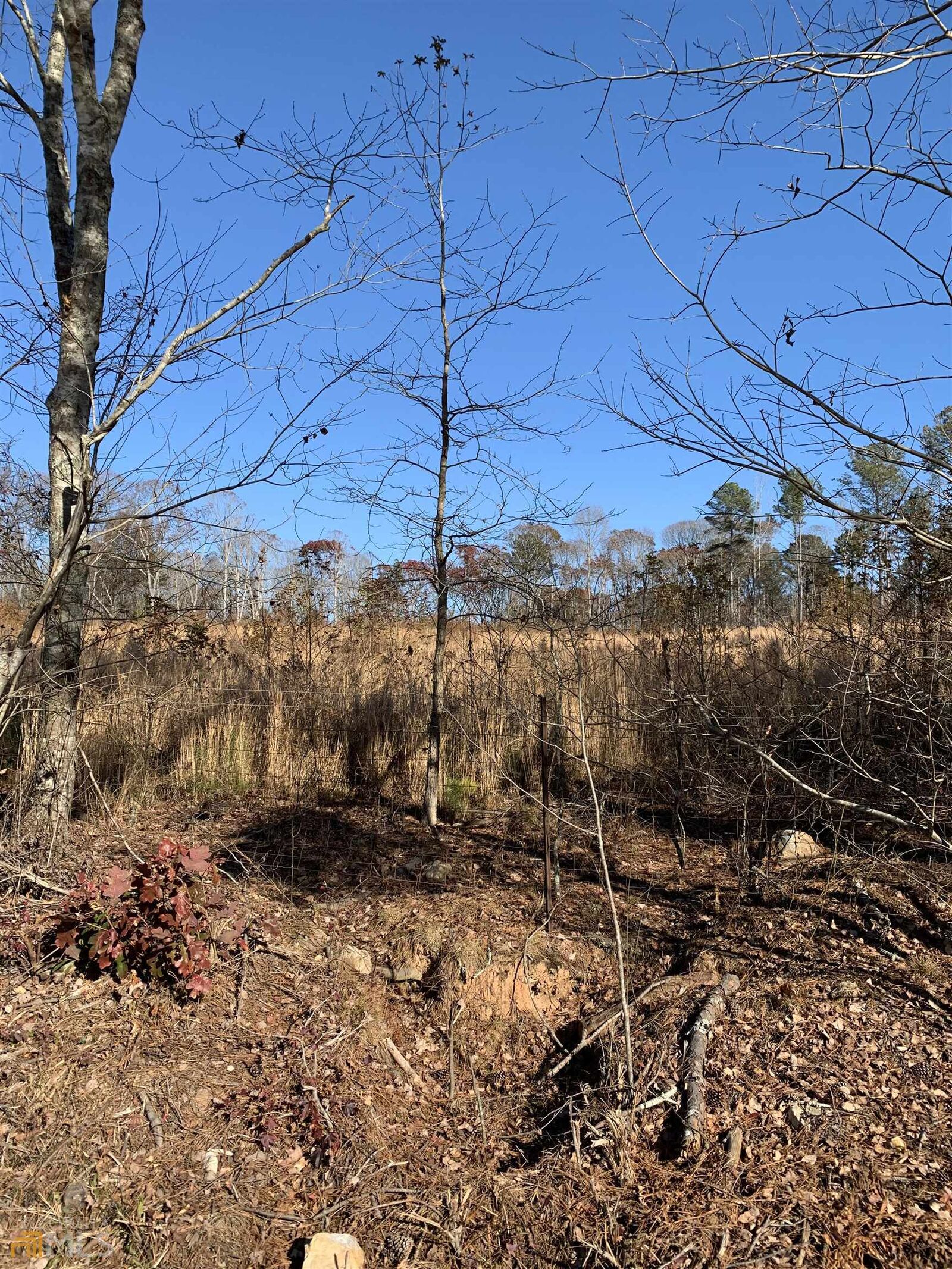 Property Photo:  0 Lively Road Tract 1  GA 30117