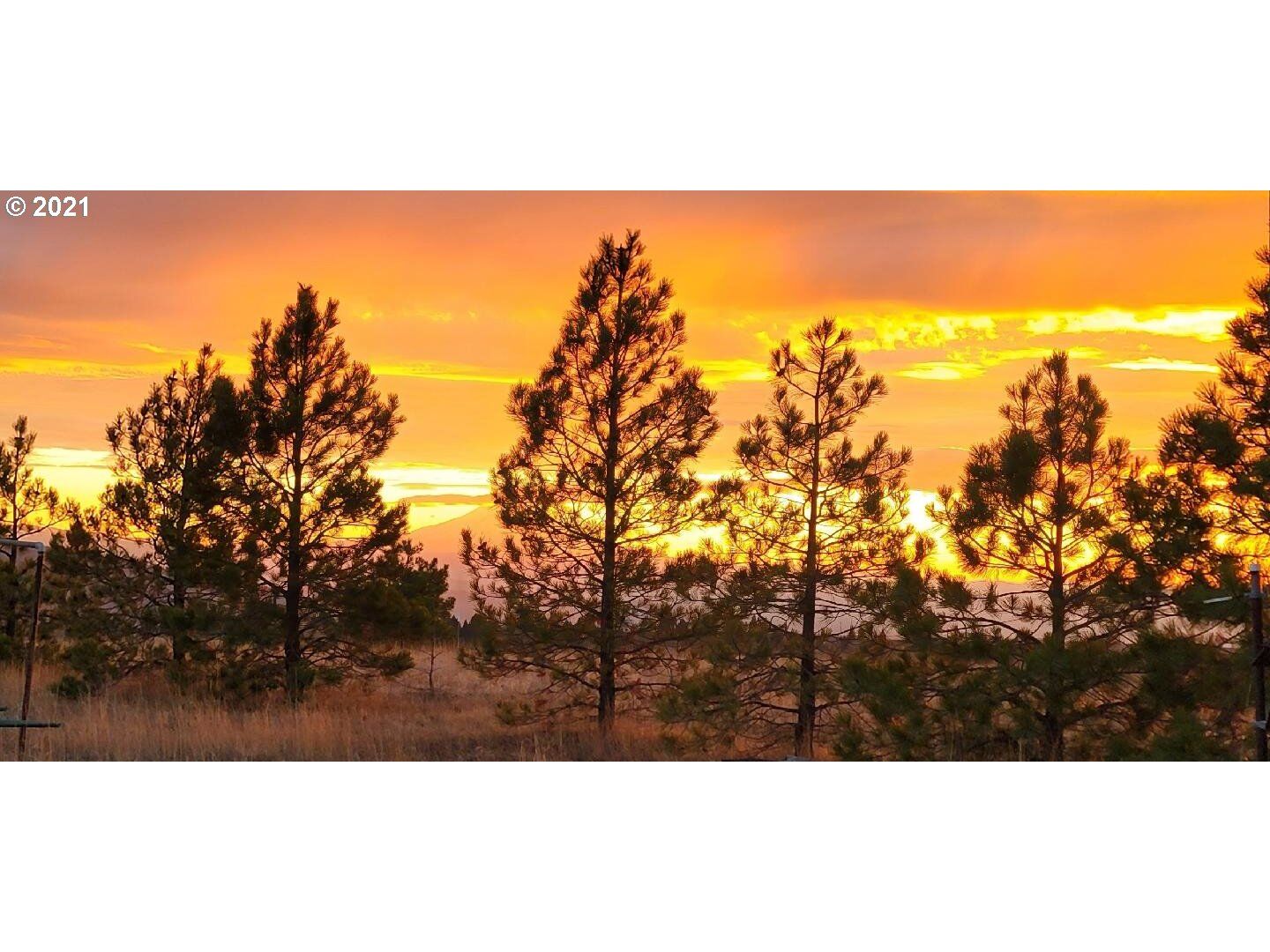 Property Photo: Morris Rd WA 98635