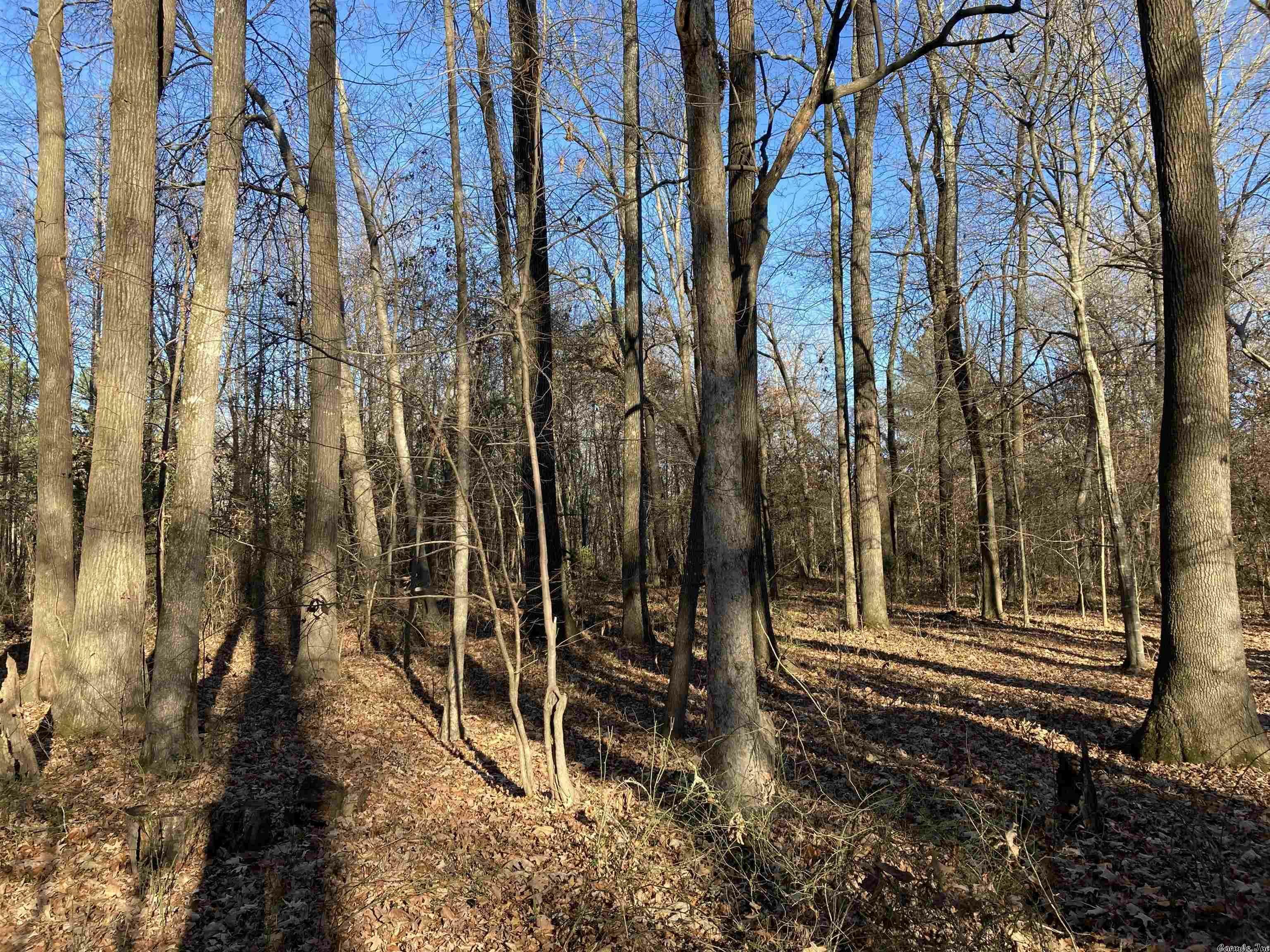 Property Photo:  000 Cooterneck Road  AR 72543 