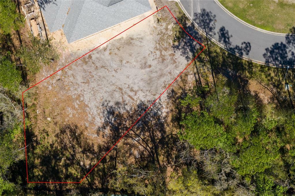 Property Photo:  3576 NW 49th Drive  FL 32606 