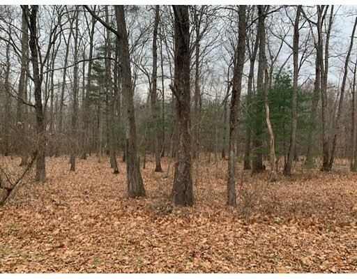 Property Photo:  8 Bird Ln (Lot 1A)  MA 02067 