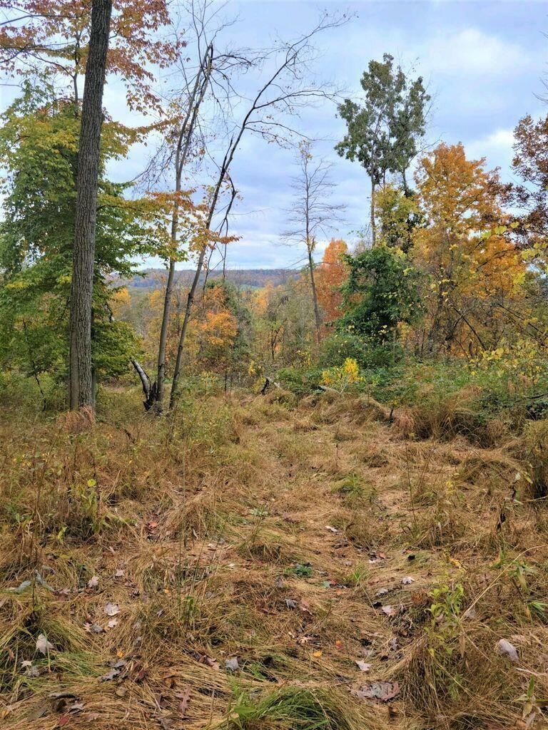 Property Photo: 00 Marne OH 43830