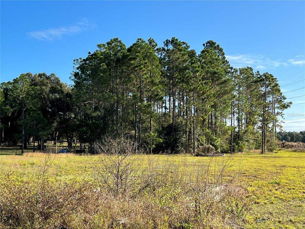 Property Photo:  13023 County Road 44  FL 32735 