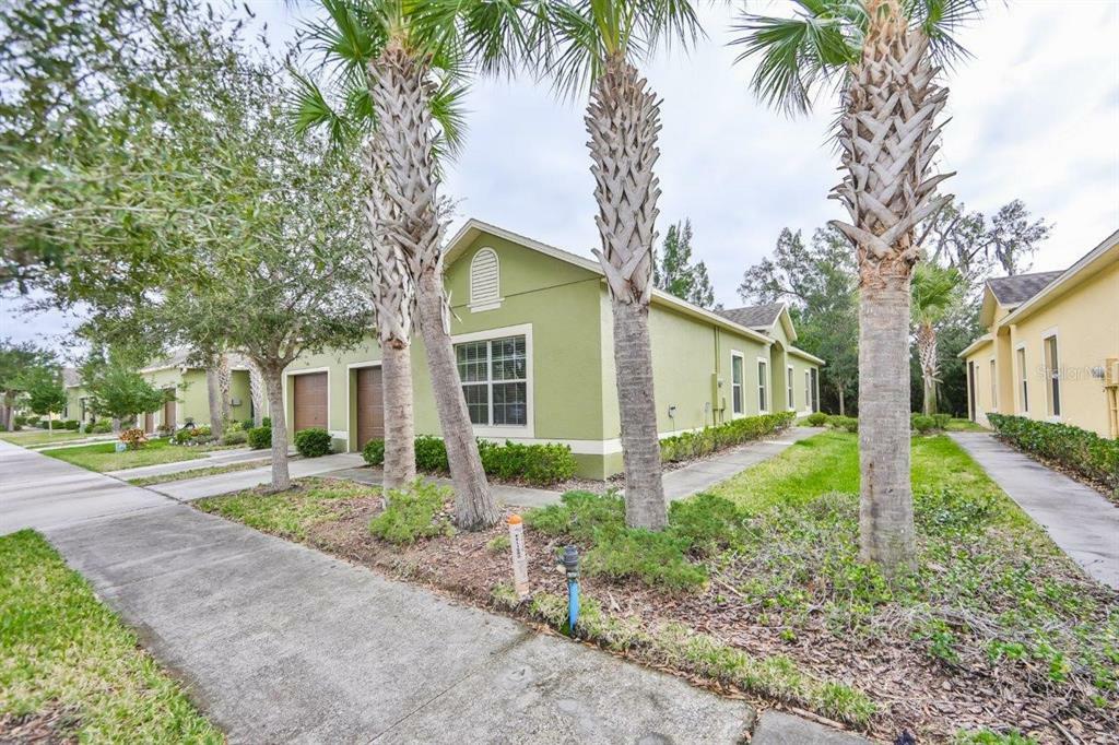 Property Photo:  1703 Trailwater Street  FL 33570 