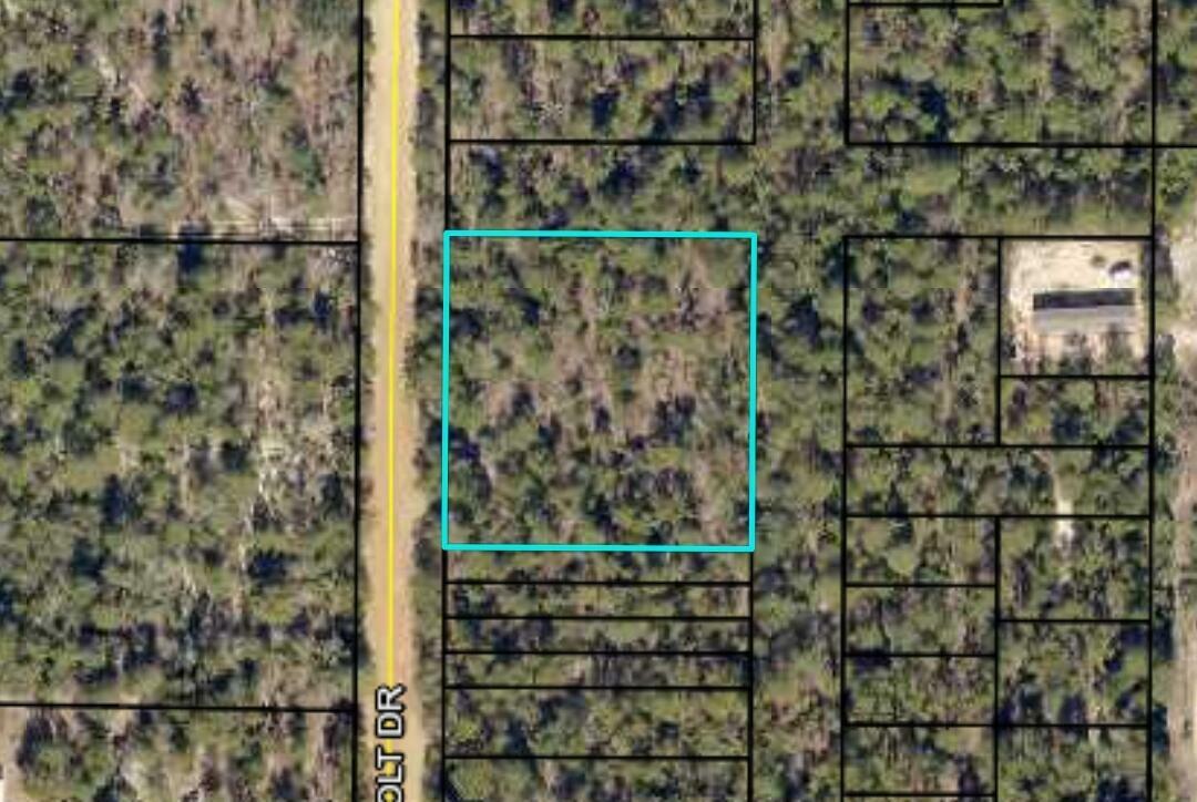Property Photo: 1.14 Acres Colt Dr FL 32539
