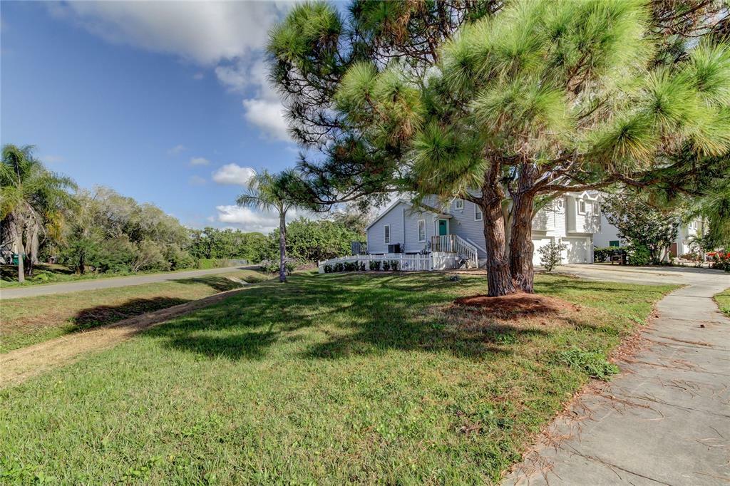 Property Photo:  509 Oceanview Avenue  FL 34683 