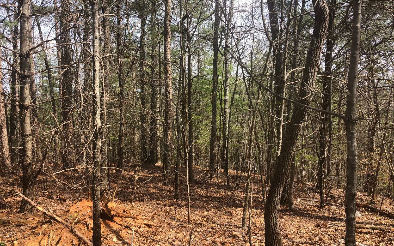 Property Photo:  Lt 3 Bunker Hill Road  GA 30512 