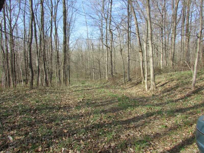 Property Photo: 0 W 600 S IN 47933