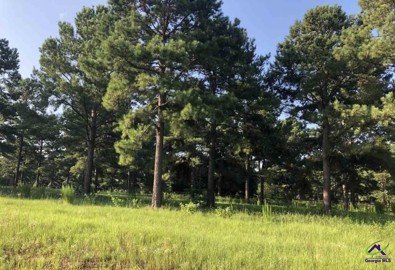 Property Photo: Lot 14 Worthington Circle GA 31030
