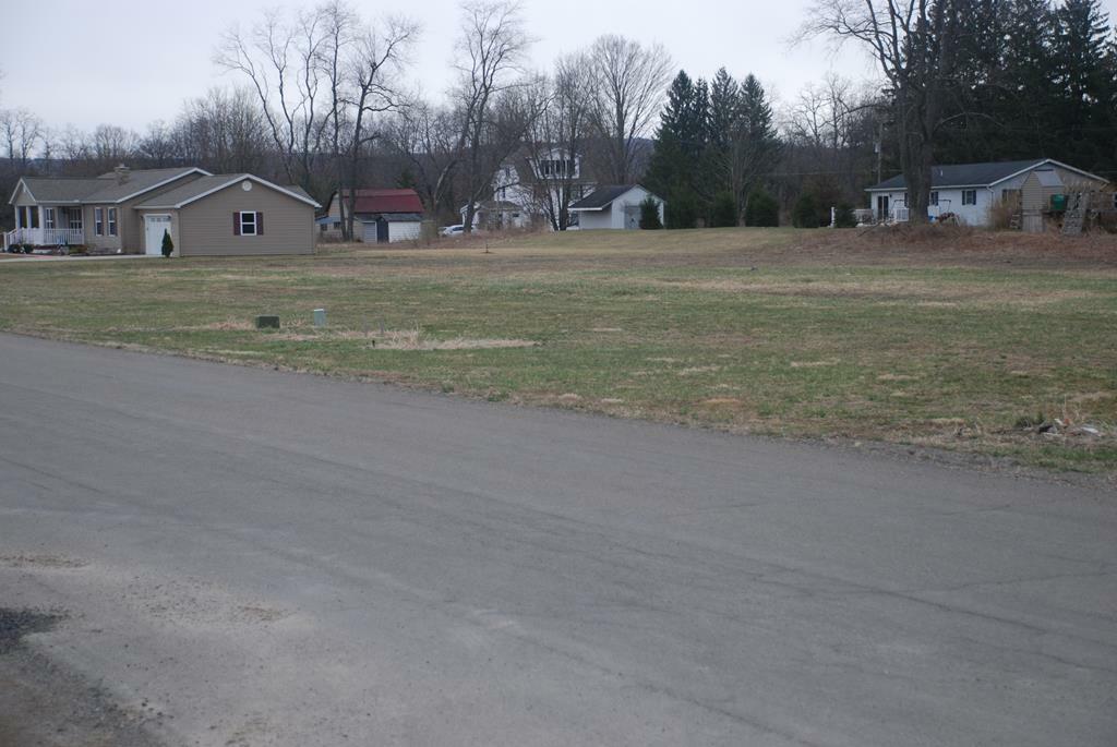 Lot 6 Wilcox Estates  Waverly NY 14892 photo