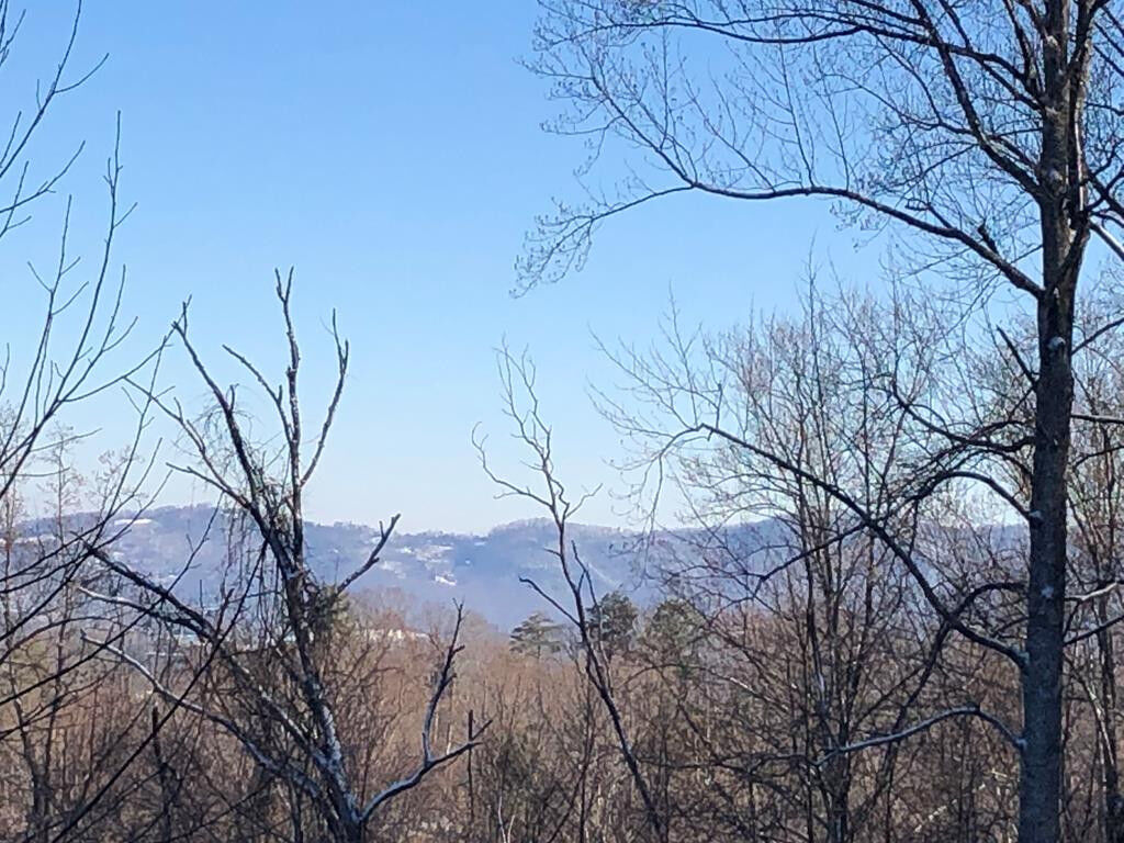 Property Photo: Wild Azalea Lane TN 37862