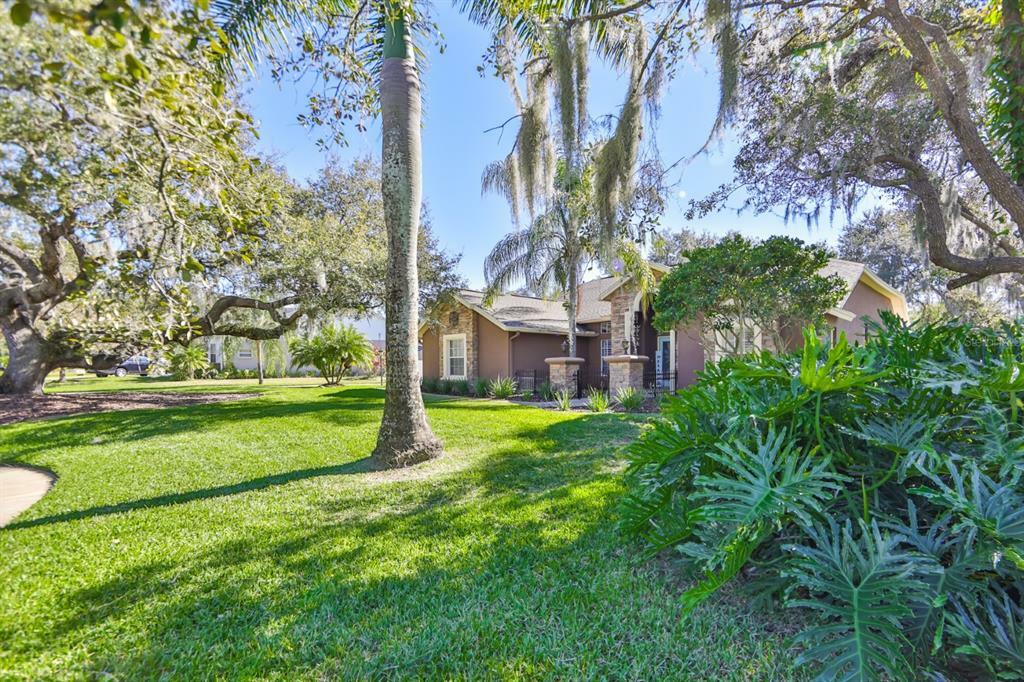 Property Photo:  8803 Crosswood Court  FL 33578 