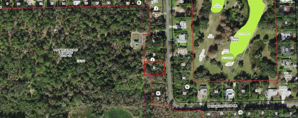 Property Photo:  91 N Country Club Drive  FL 34429 