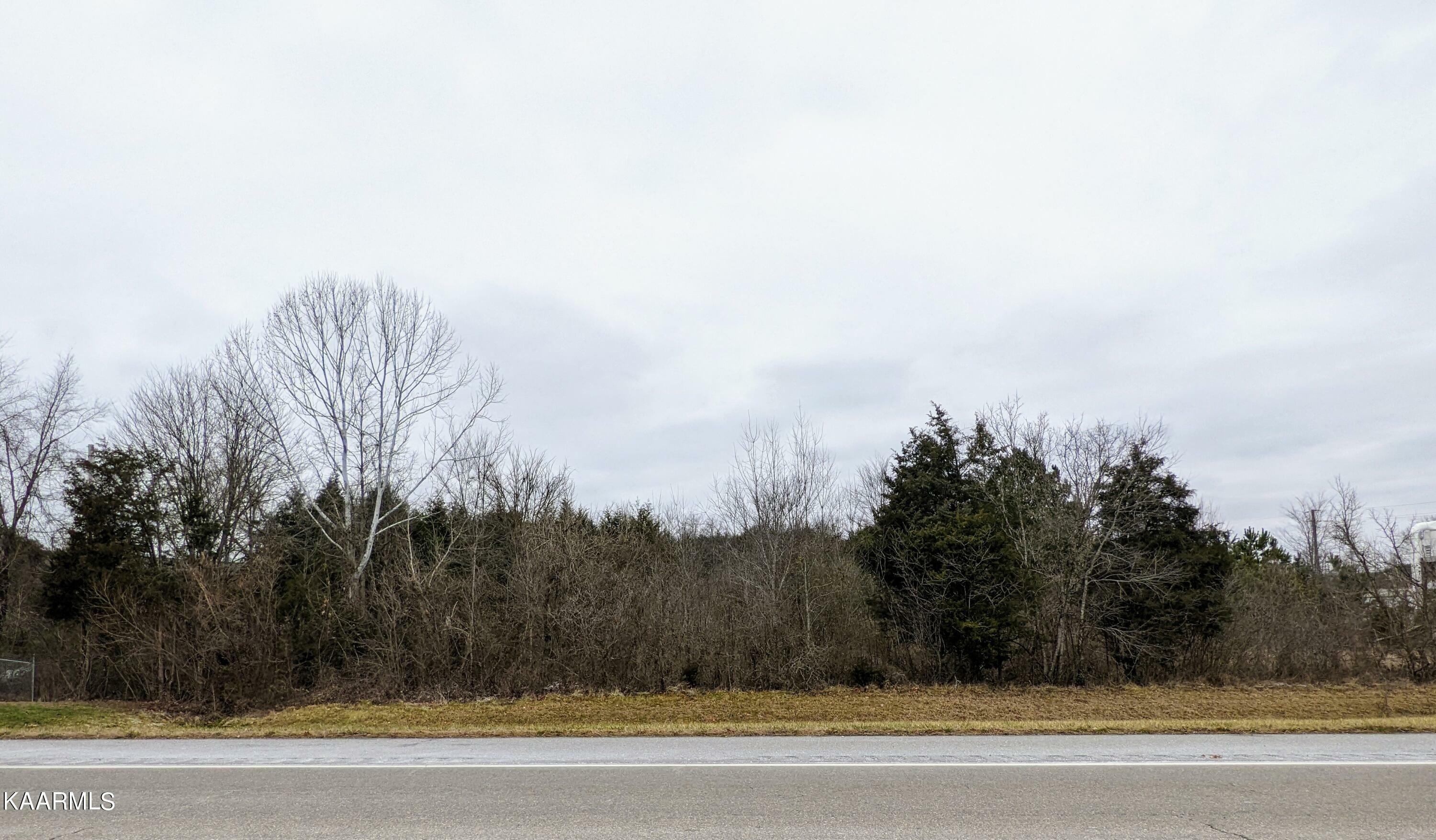 Property Photo:  Newport Hwy  TN 37876 
