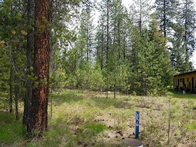 Property Photo:  241 Hogans Way  WA 99109 