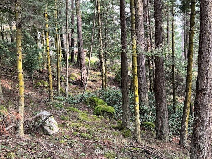 0 Reed Bay Road  Decatur Island WA 98221 photo