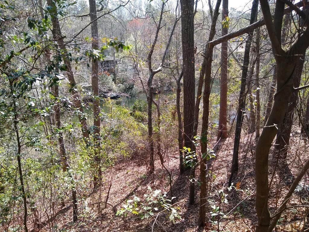 Property Photo:  110 Springwood Drive  SC 29803 