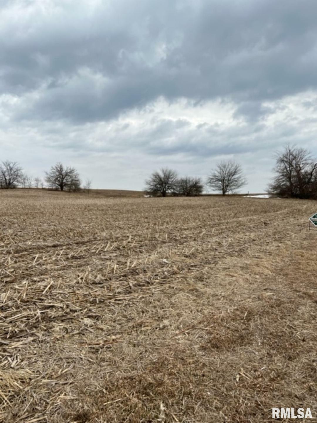 Property Photo:  0 County Road 800 N  IL 61530 