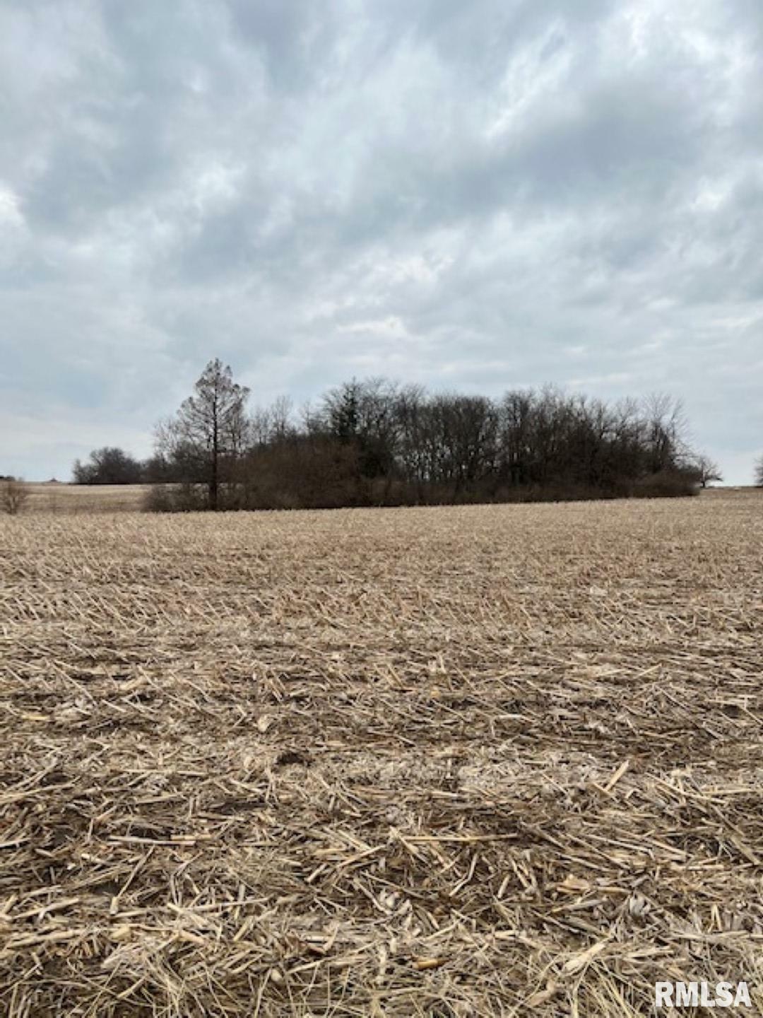 Property Photo:  0 County Road 800 N  IL 61530 