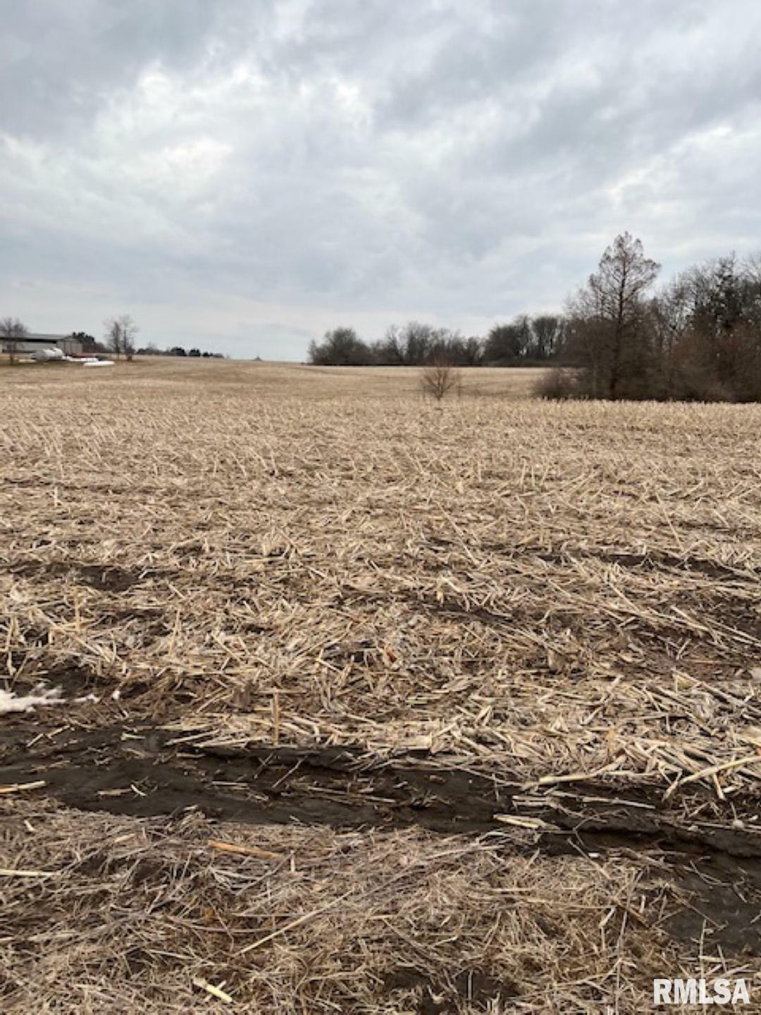 Property Photo:  0 County Road 800 N  IL 61530 