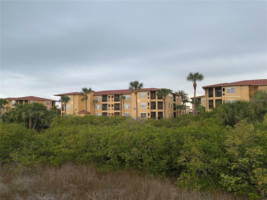 Property Photo:  4305 Bayside Village Drive 303  FL 33615 