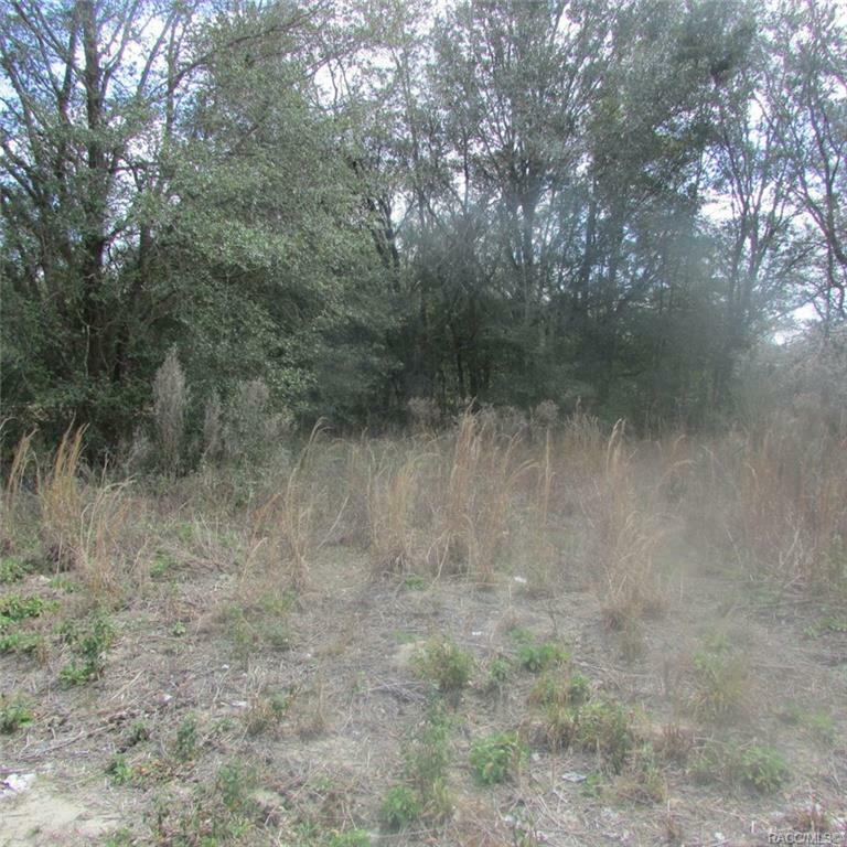 Property Photo:  Not Assigned Yet SW 102 Place  FL 34432 