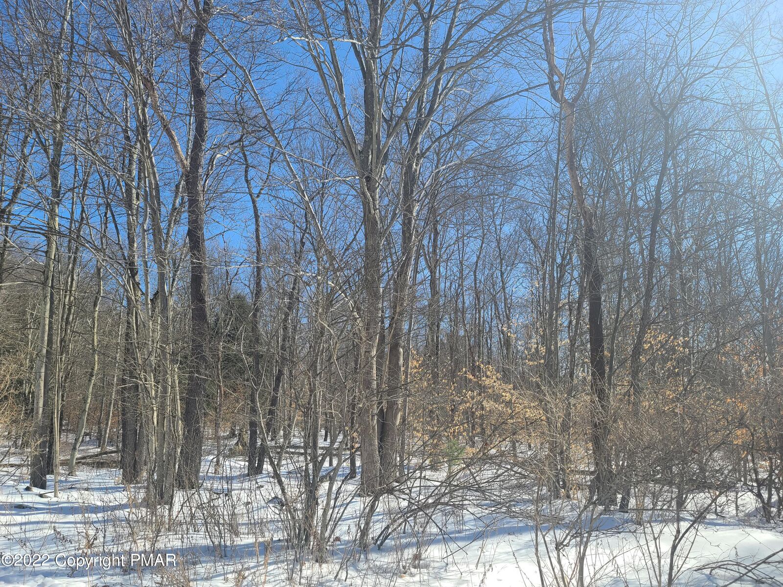Property Photo: 6 Pvt/ Samantha Road PA 18347