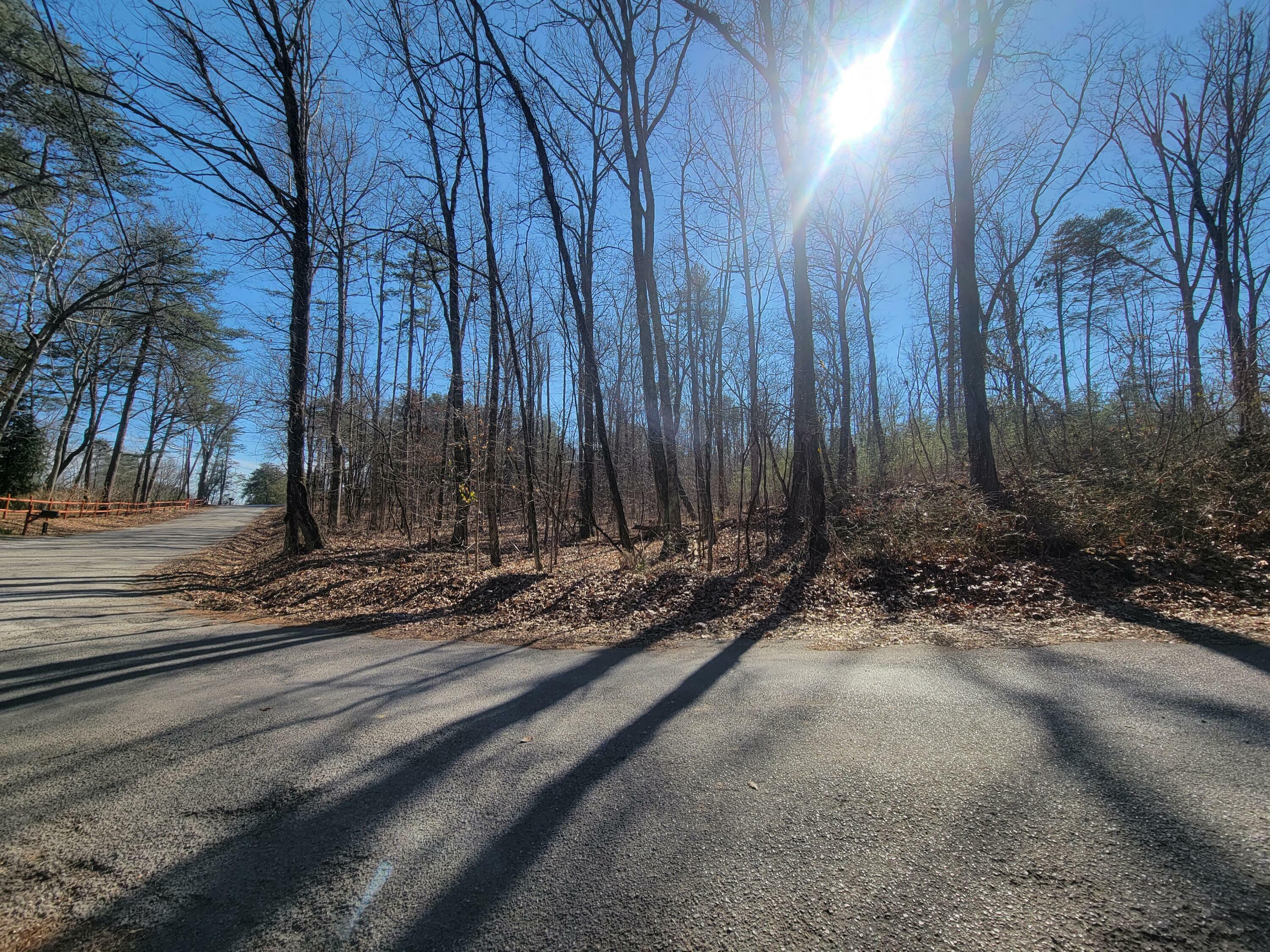 Tbd Hugh Allison Road  Pikeville TN 37367 photo