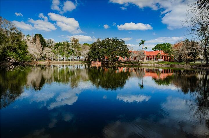 Property Photo:  11623 Innfields Drive  FL 33556 