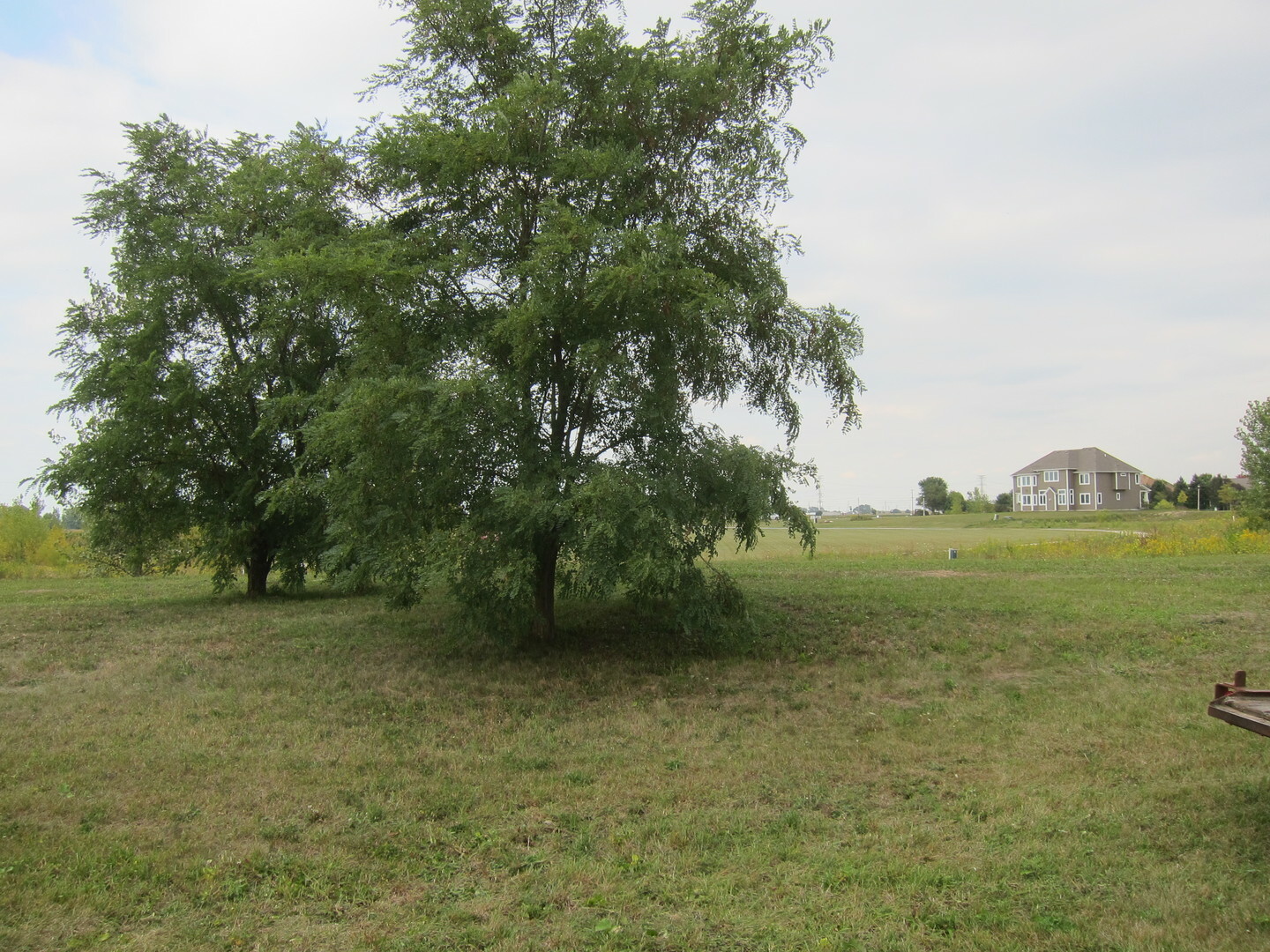 Property Photo:  988 Redbud Lane  IL 60554 