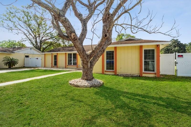 Property Photo: 432 Bonnie View Drive FL 33594