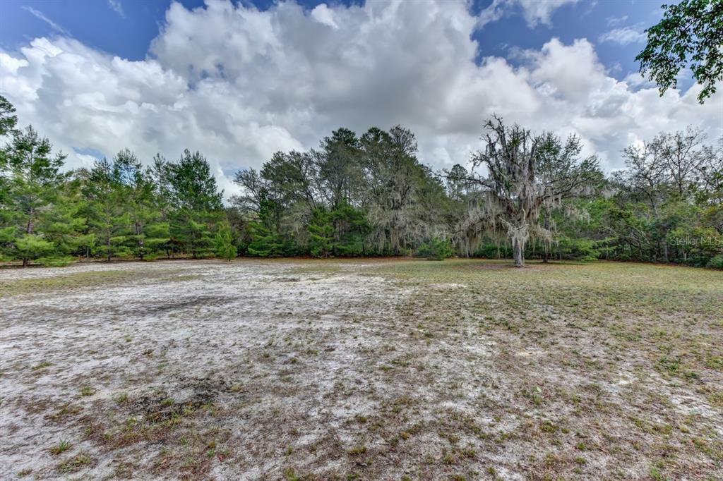 Property Photo:  44216 Lake Mack Drive  FL 32720 