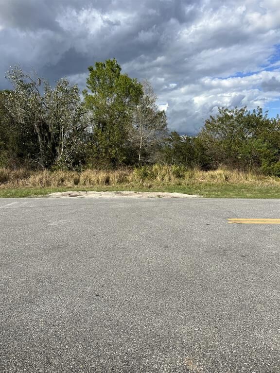 Property Photo:  0 Old Stokes Road  FL 33843 